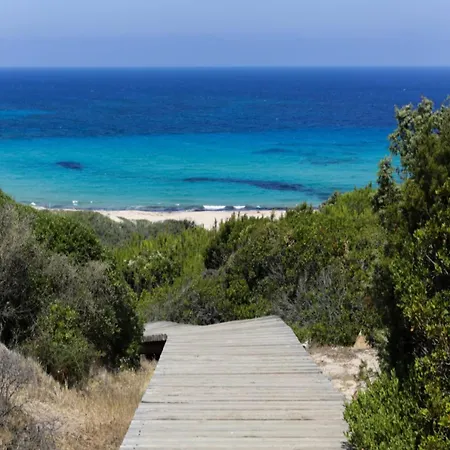 Piccolo Marvel Палау