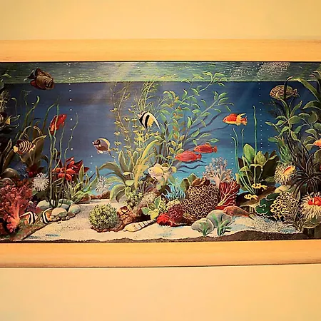 Piccolo Marvel * Палау