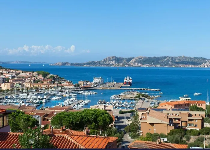 Piccolo Marvel パラーウ