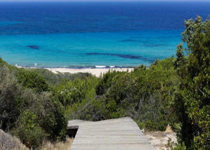 Piccolo Marvel パラーウ