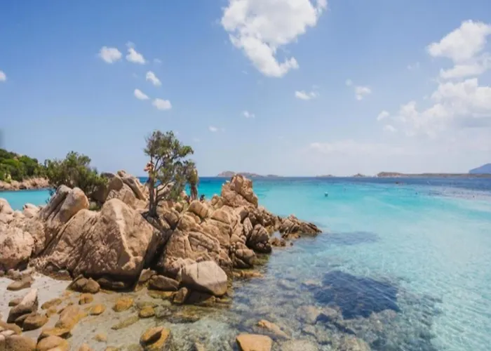 Piccolo Marvel 公寓 帕劳